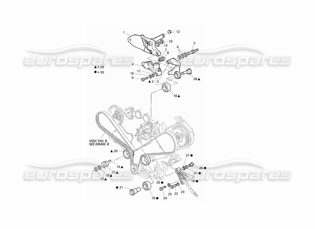 Maserati QTP V6 Evoluzione Contrôle du timing Schéma des pièces