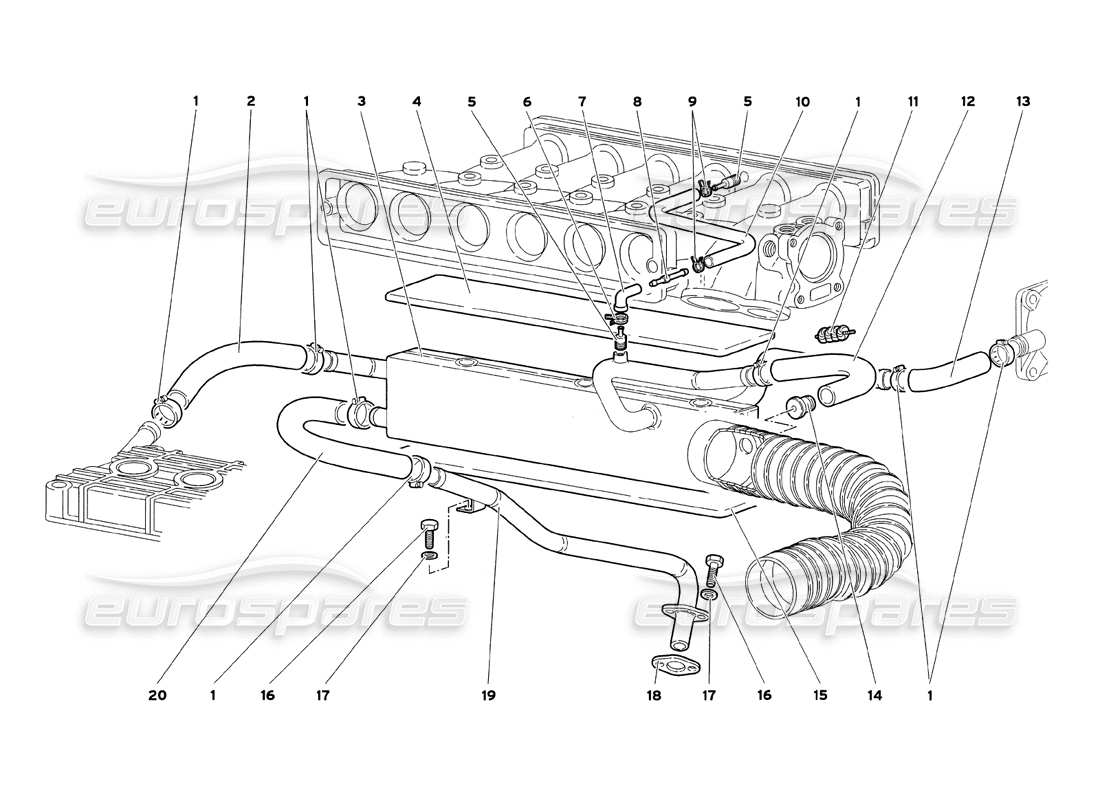 Lamborghini Diablo SV (1999) Système respiratoire d'huile moteur Schéma des pièces