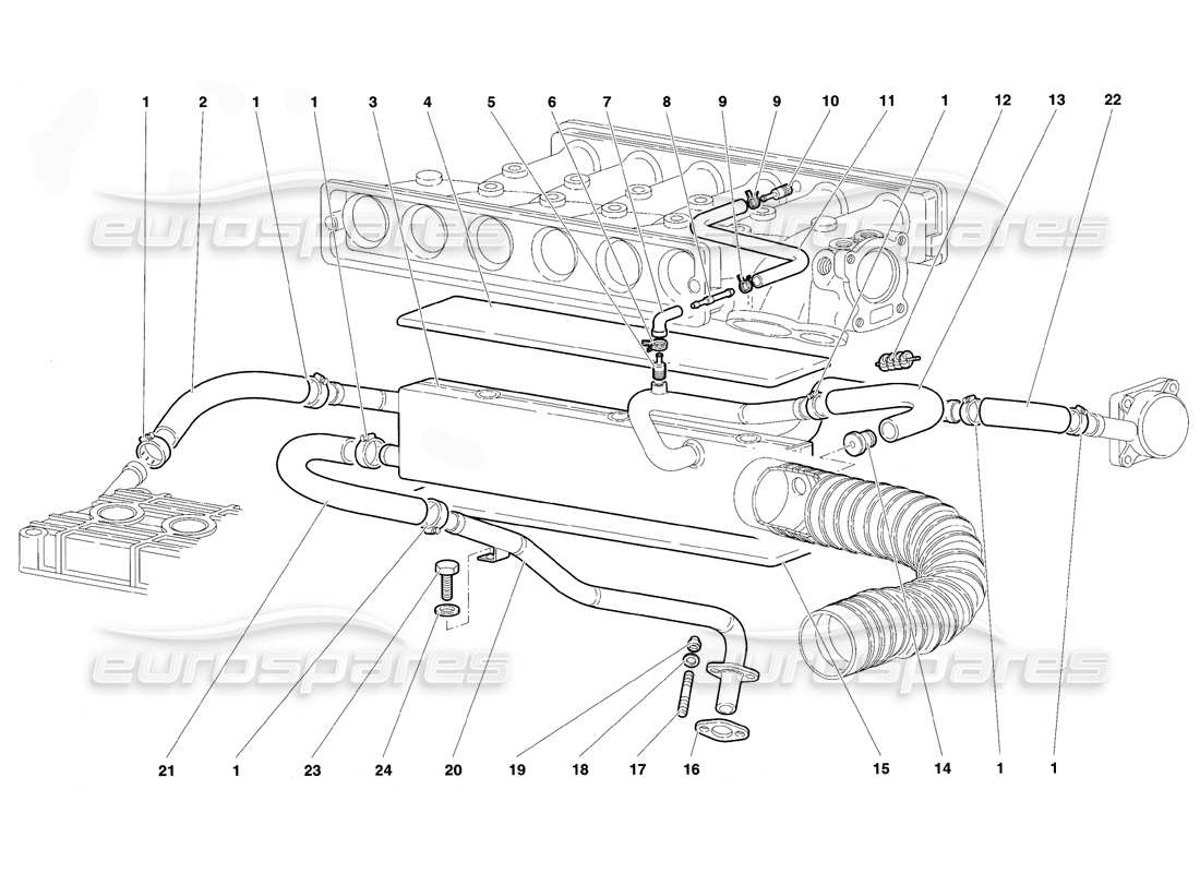 Lamborghini Diablo VT (1994) Système respiratoire d'huile moteur Diagramme de pièce