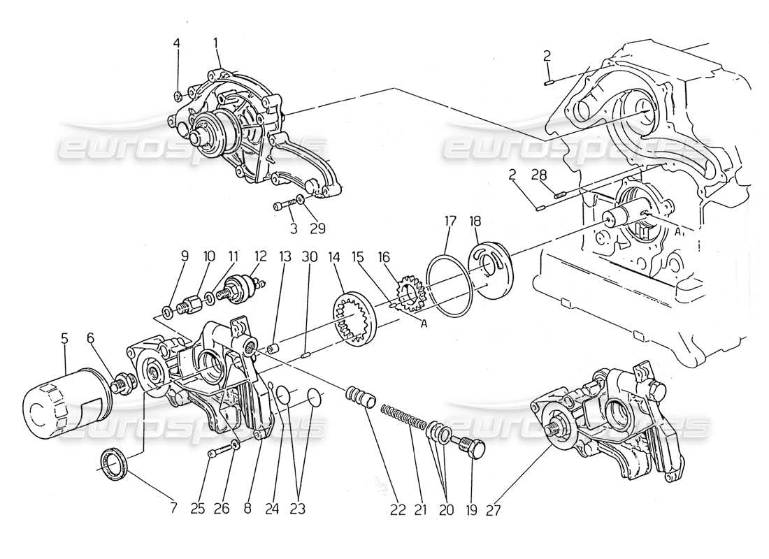 maserati 2.24v pompe à eau - schéma des pièces de la pompe à huile