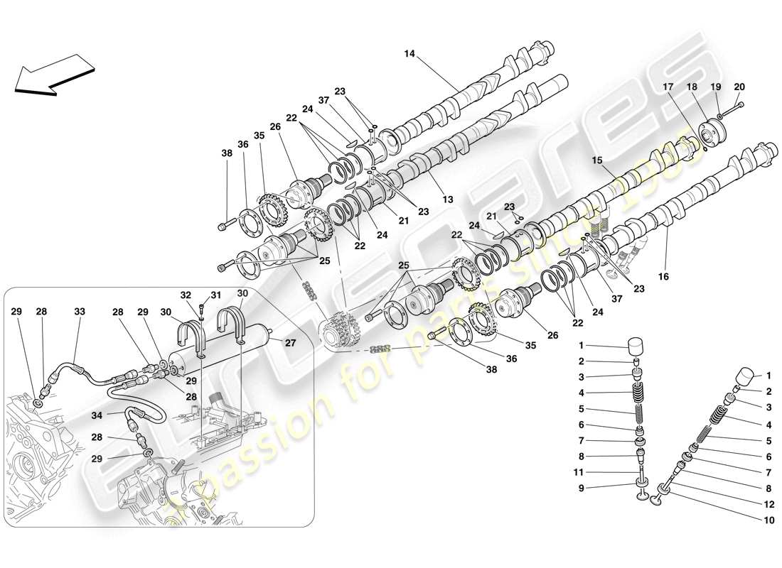 ferrari f430 scuderia (usa) système de distribution - poussoirs - schéma des pièces