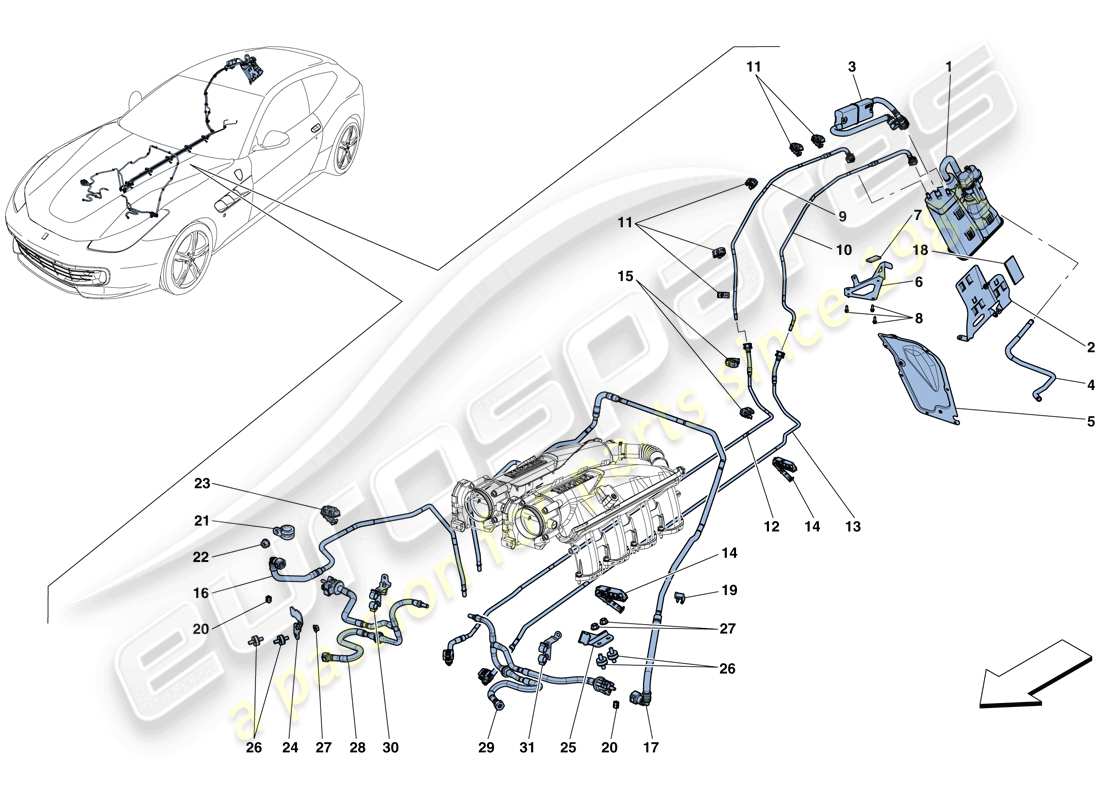 ferrari gtc4 lusso t (rhd) système de contrôle des émissions par évaporation schéma des pièces