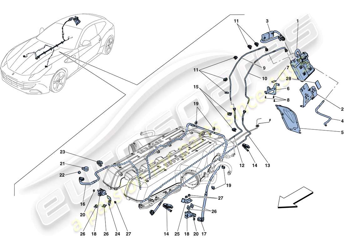 ferrari ff (rhd) système de contrôle des émissions par évaporation schéma des pièces