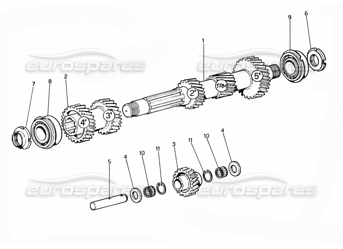 ferrari 365 gtc4 (mechanical) engrenages primaires - schéma des pièces de révision