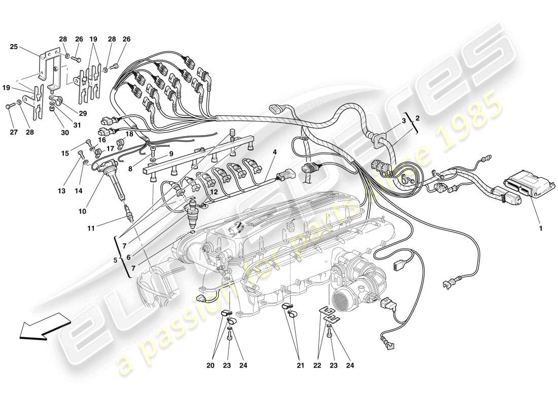 ferrari 612 sessanta (europe) injection - système d'allumage schéma des pièces