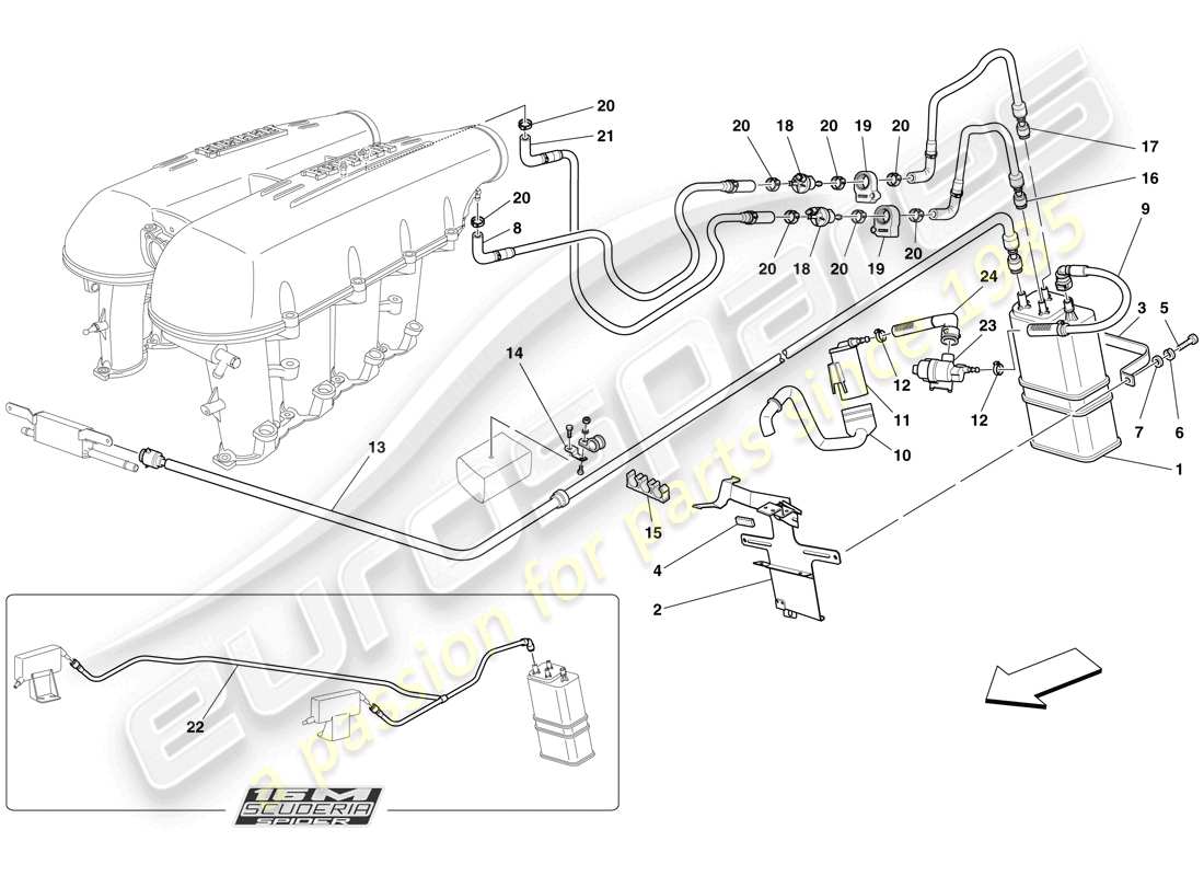 ferrari f430 scuderia (rhd) système de contrôle des émissions par évaporation diagramme des pièces