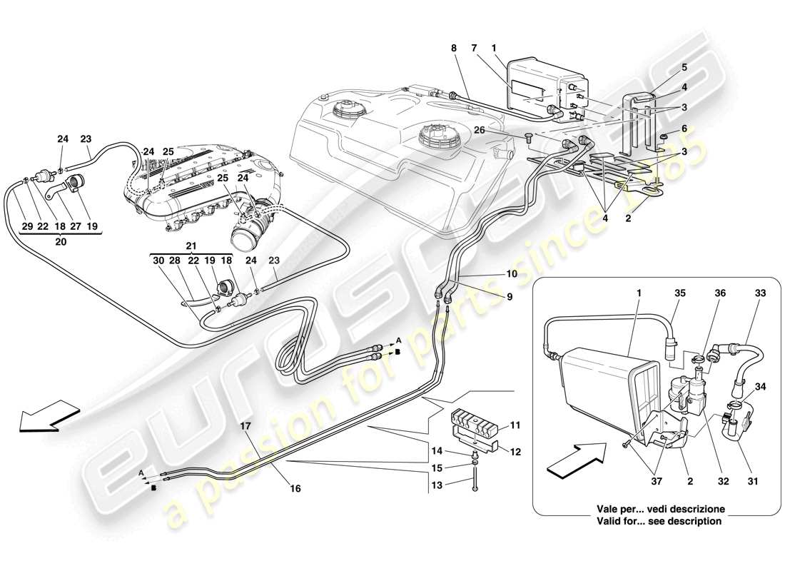 ferrari 599 gto (usa) système de contrôle des émissions par évaporation schéma des pièces