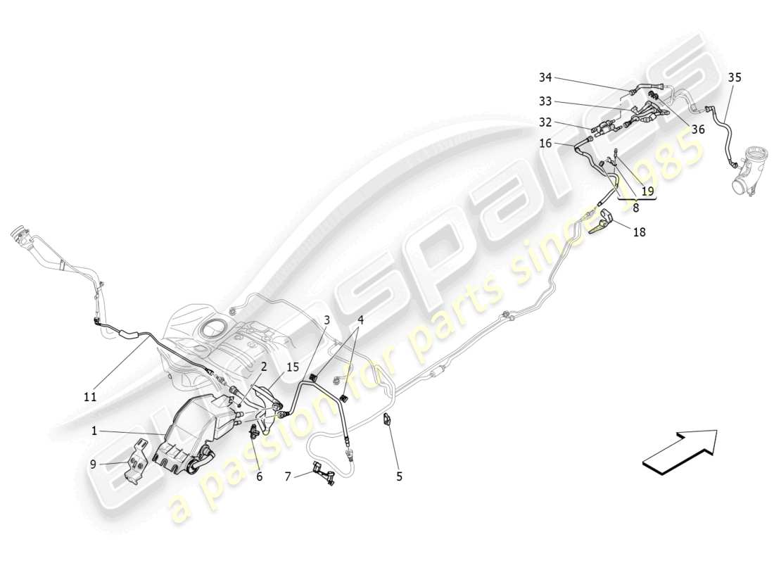 maserati levante trofeo (2020) système de recirculation des vapeurs de carburant schéma des pièces