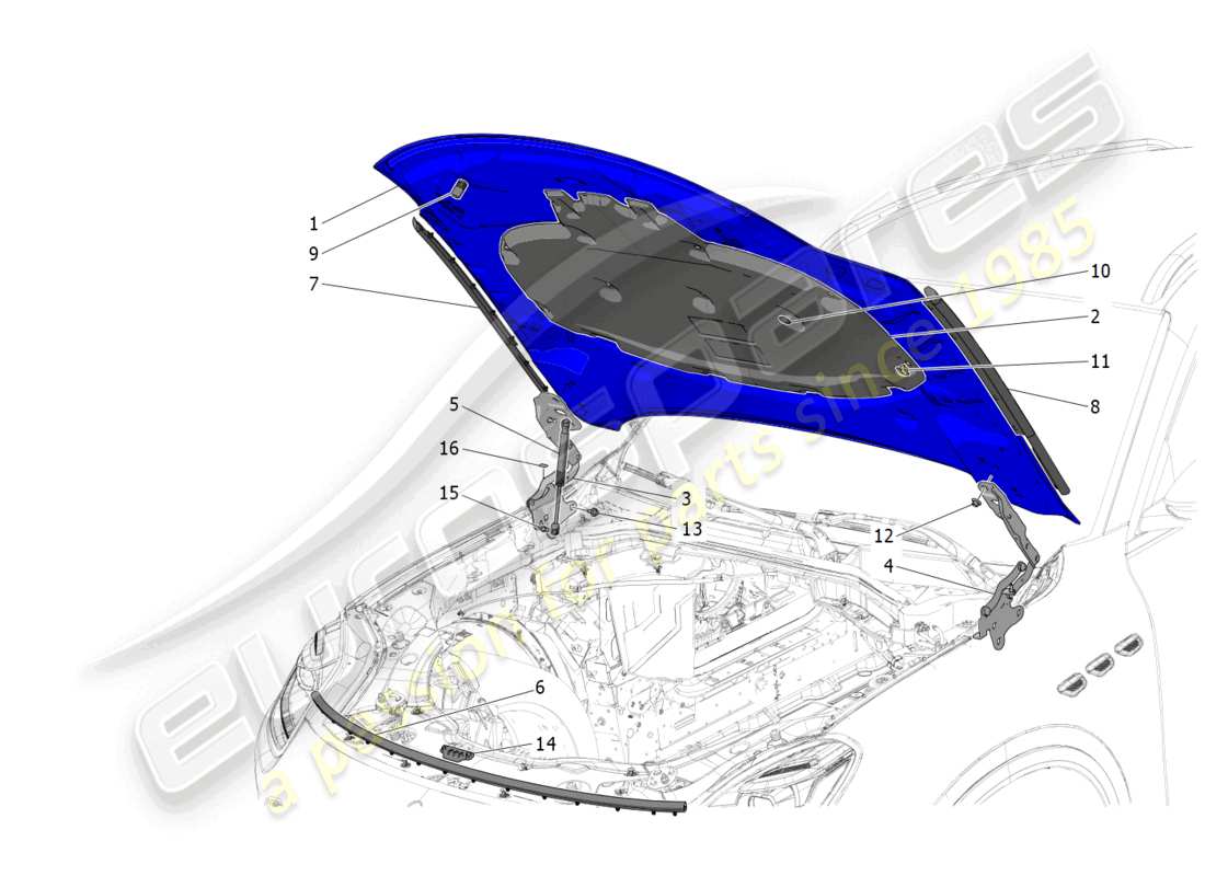 maserati grecale trofeo (2023) diagramme des pièces du couvercle avant