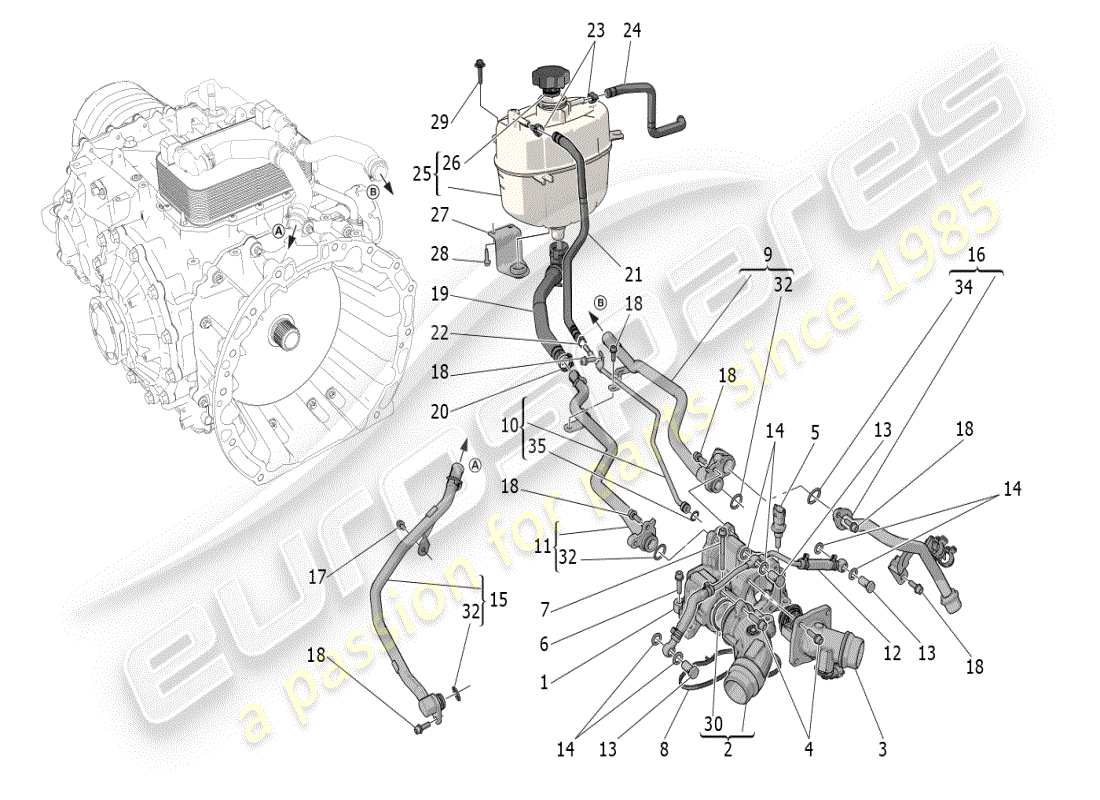 maserati mc20 (2024) système de refroidissement : diagramme de pièces nourice et lignes