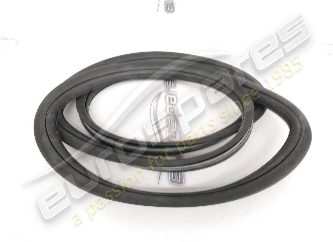 nouveau caoutchouc de lunette arrière ferrari. numéro de pièce 16310111 (1)
