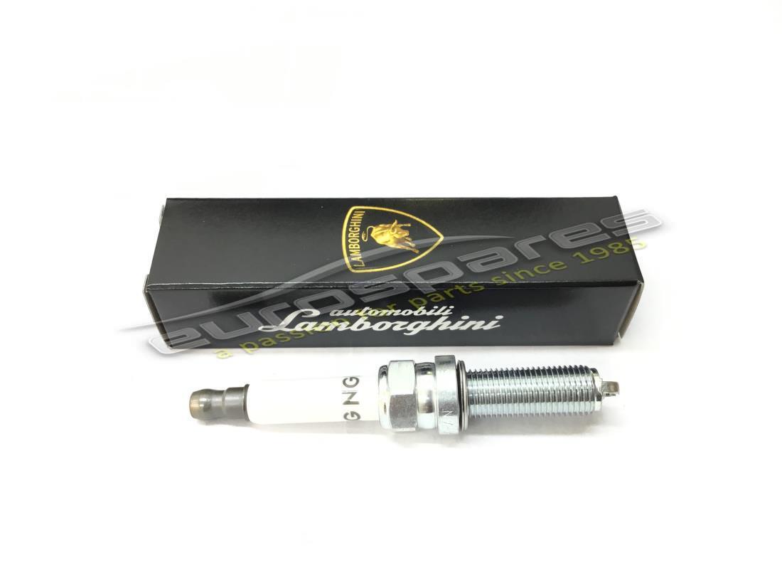 nouvelle bougie d'allumage lamborghini. numéro de pièce 470905619c (1)