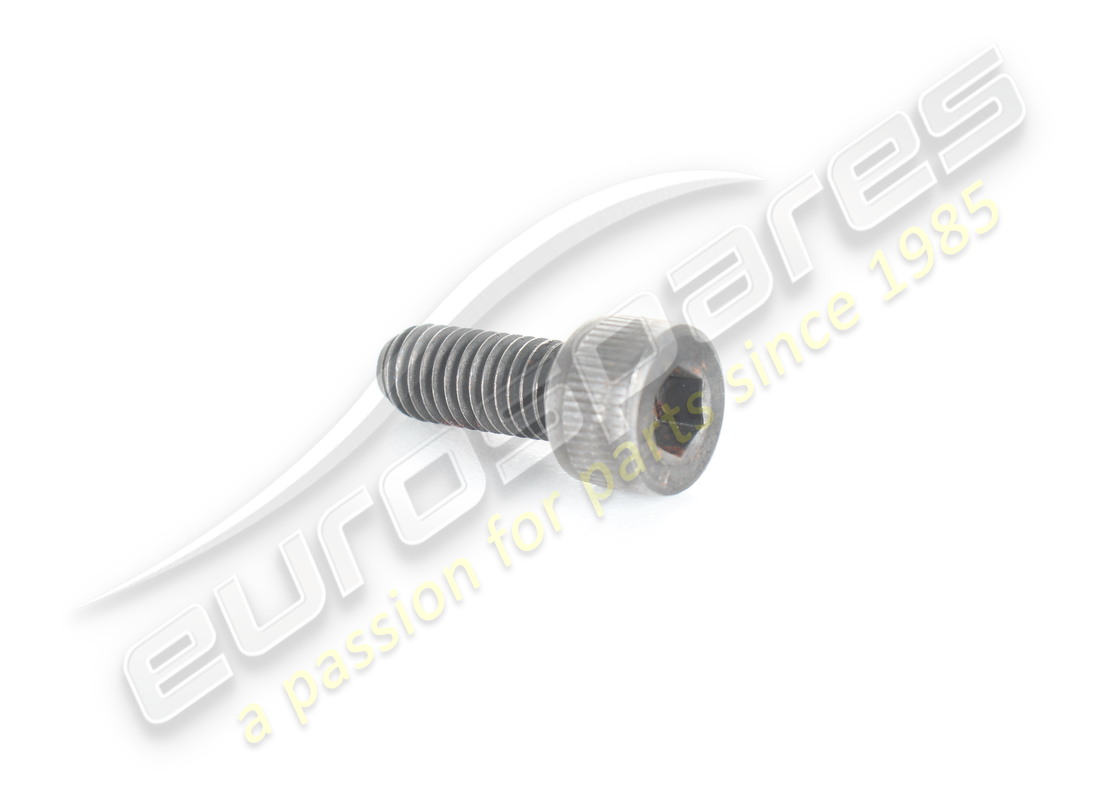 nouvelle vis ferrari. numéro de pièce 67347600 (1)