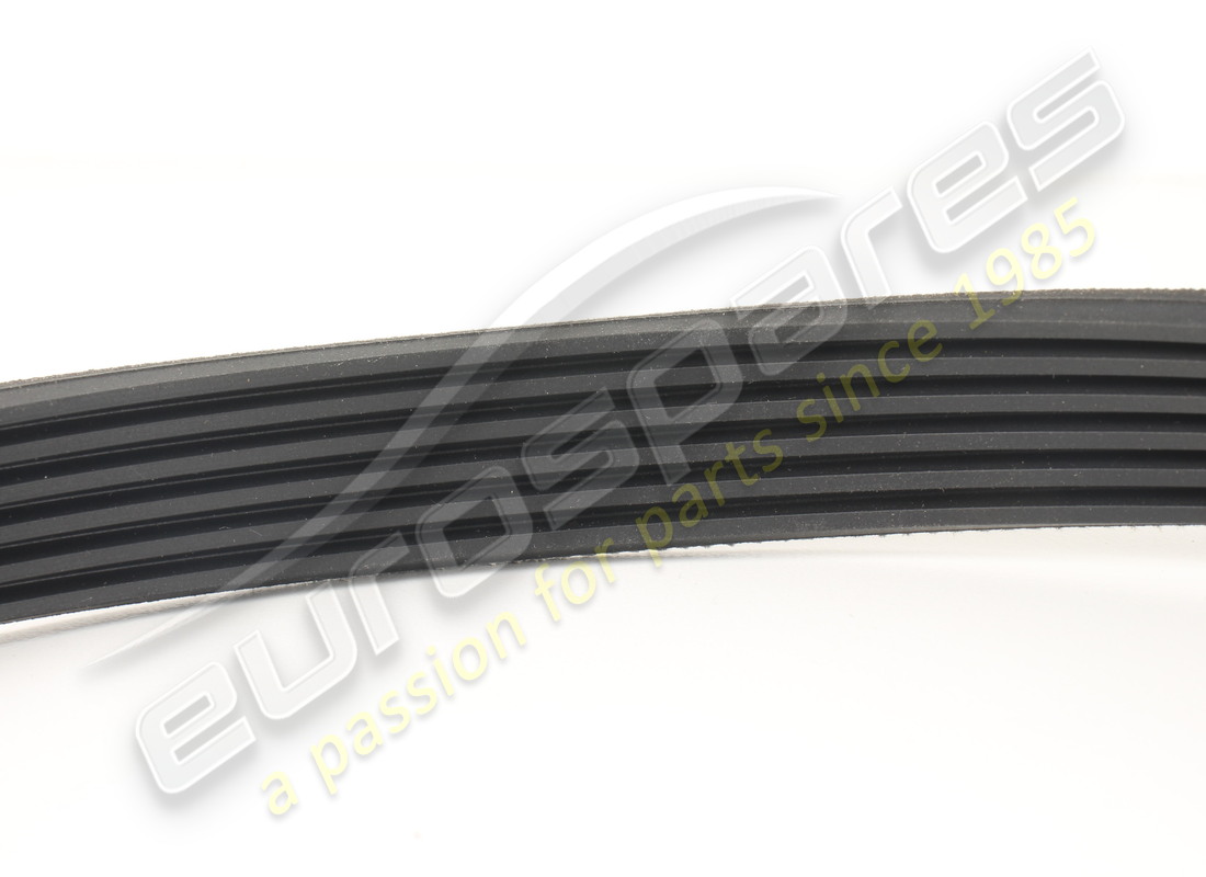 nouvelle ceinture maserati. numéro de pièce 270901 (2)