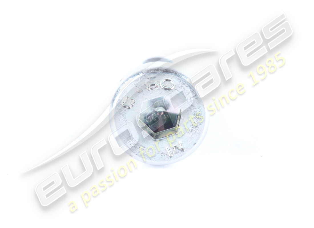 nouvelle vis ferrari. numéro de pièce 40294308 (2)