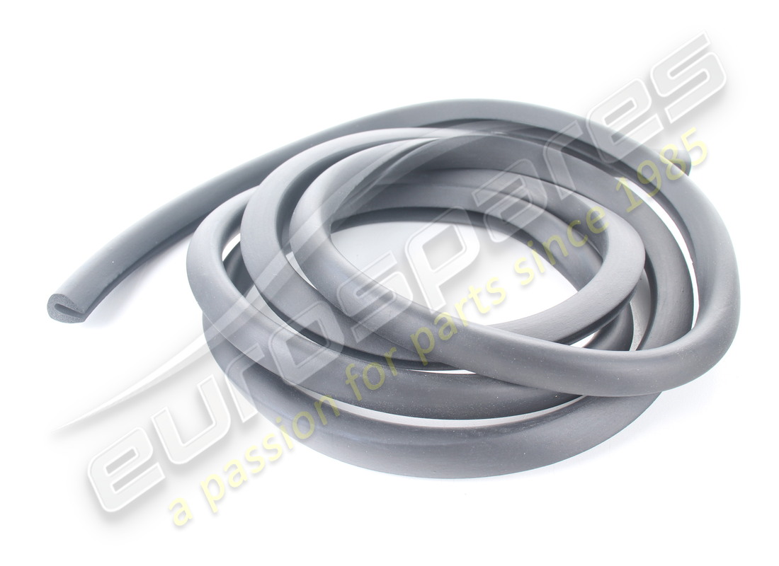 new ferrari lower door weatherstrip. part number 60159605 (1)