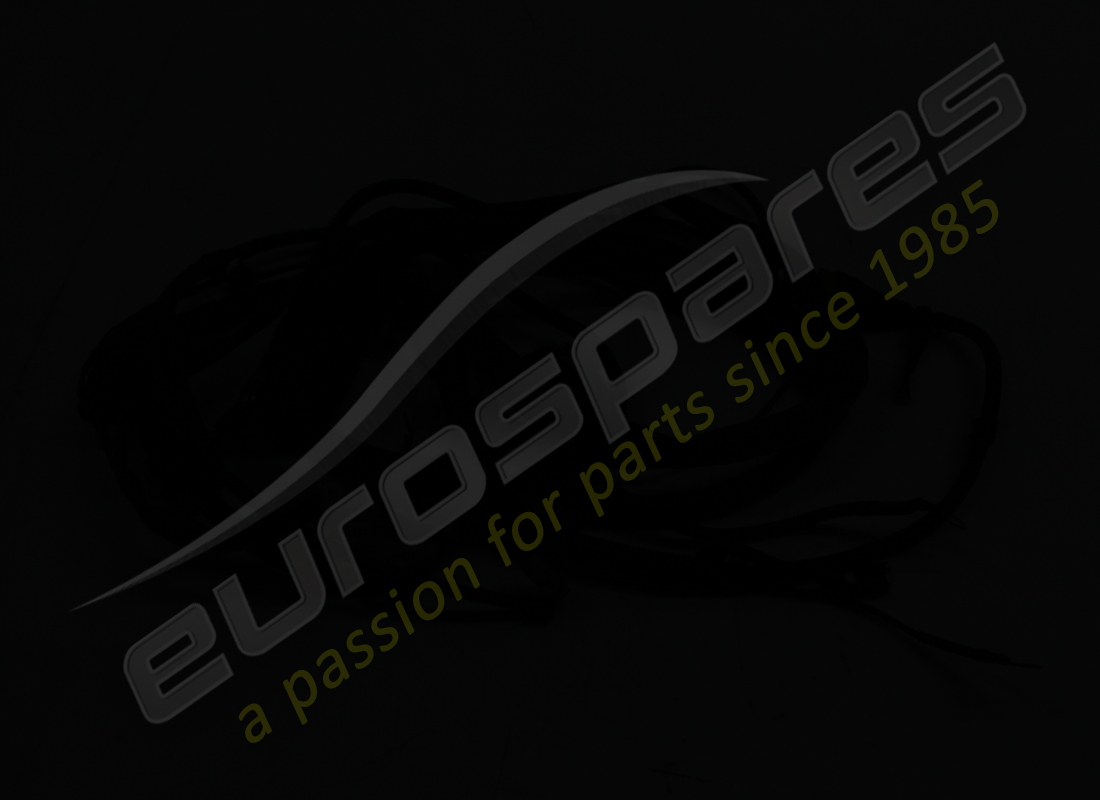 CÂBLES DE CONNEXION UTILISÉS FERRARI POUR LH EN. RÉFÉRENCE 200842 (2) câbles de connexion utilisés ferrari pour lh en. référence 200842 (2)