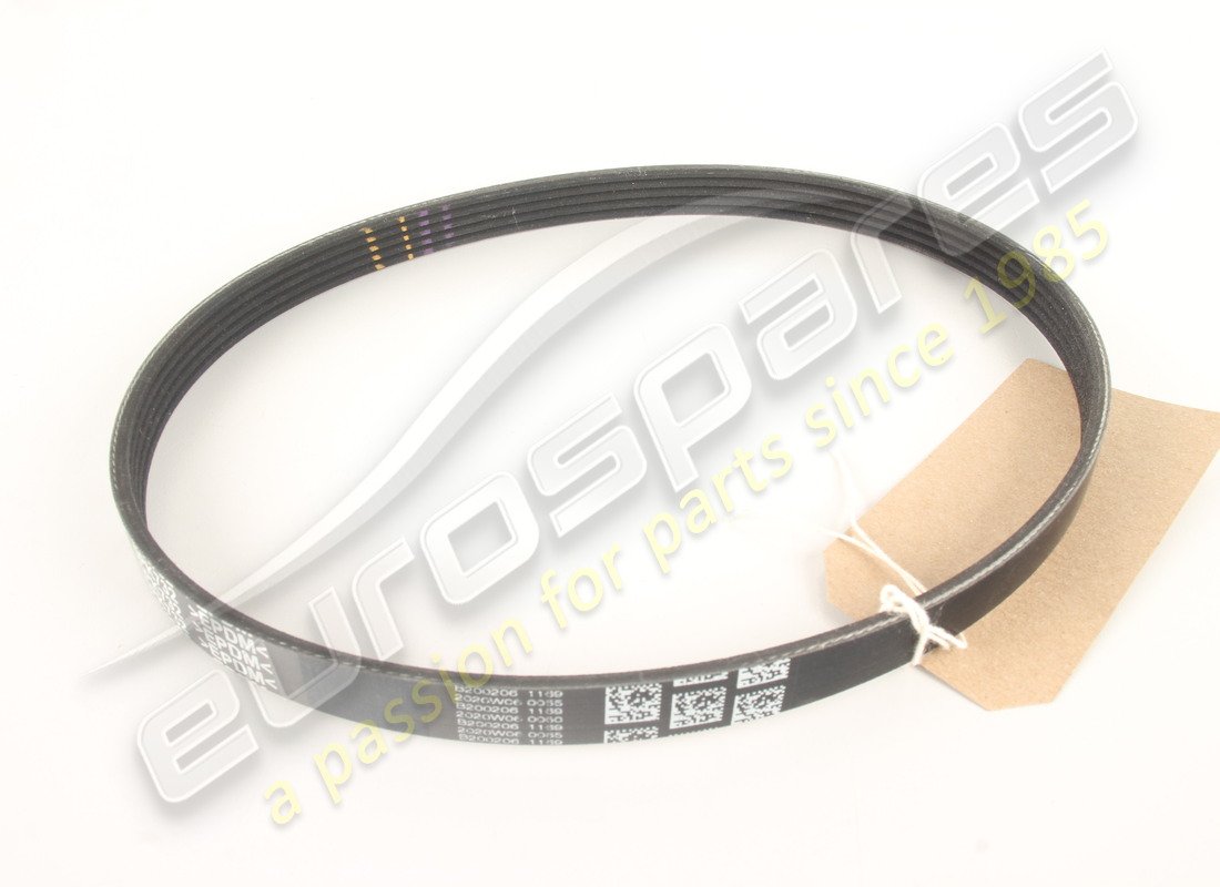 nouvelle ceinture ferrari. numéro de pièce 332699 (1)