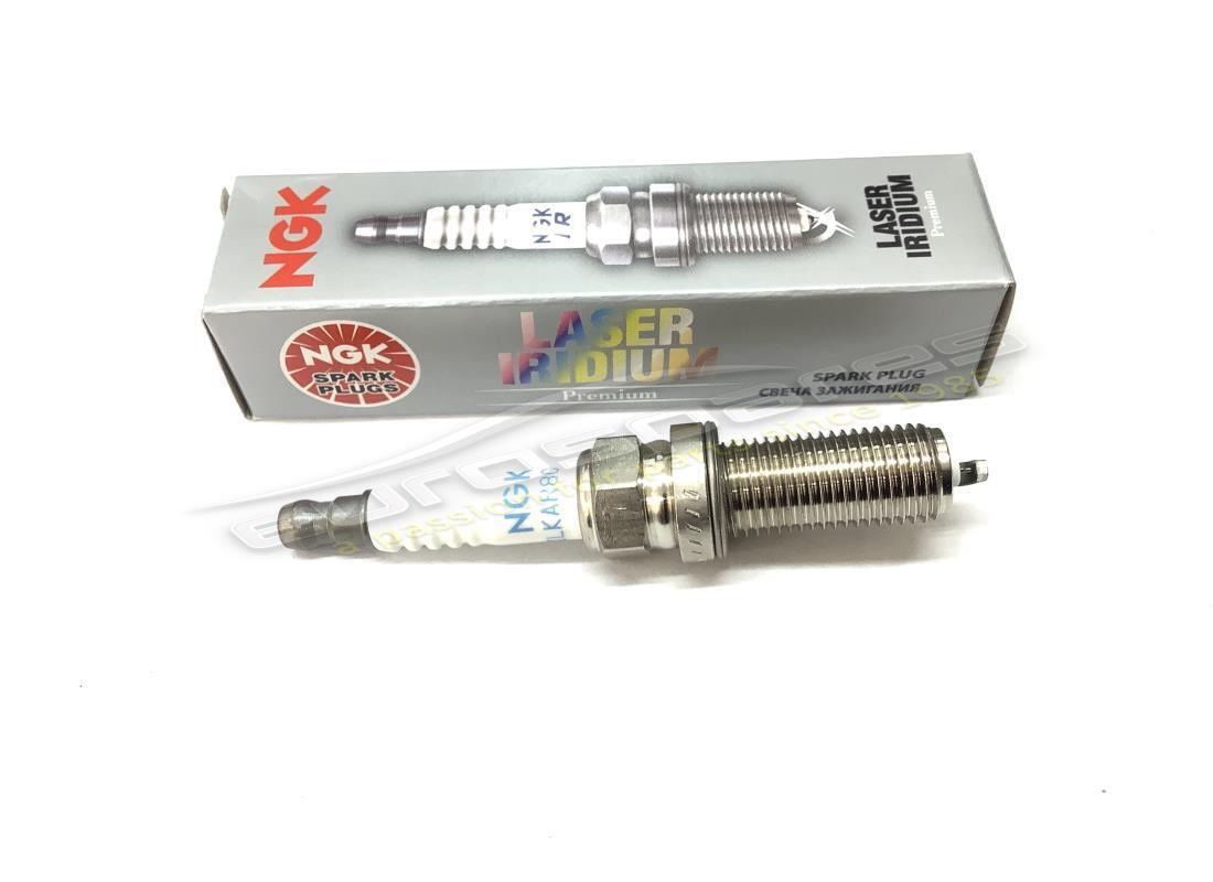 nouvelle bougie d'allumage eurospares (ngk). numéro de pièce 310235 (1)