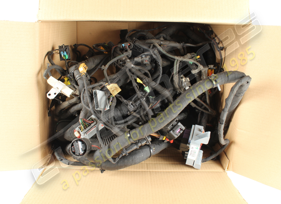 Ferrari CÂBLE ARRIÈRE UTILISÉ. NUMÉRO DE PIÈCE 288048 (1)