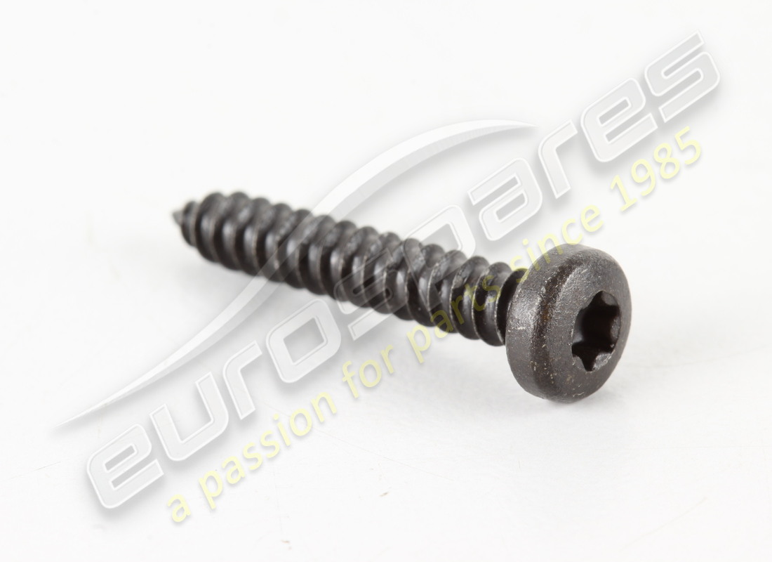 new lamborghini pan head tapping. part number n10584201 (1)