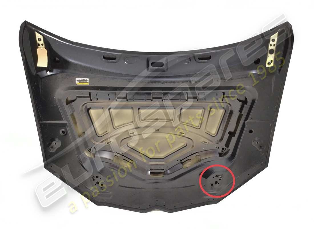 capot lamborghini endommagé. numéro de pièce 4ml823029 (4)