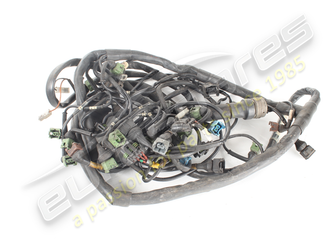 CÂBLAGE D'INJECTION DE MOTEUR D'OCCASION Lamborghini. NUMÉRO DE PIÈCE 006132502 (1)