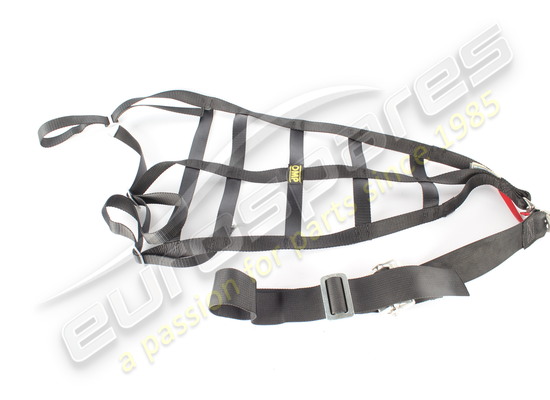 utilisé ferrari filet de protection pour casque rh, numéro de pièce 88923600