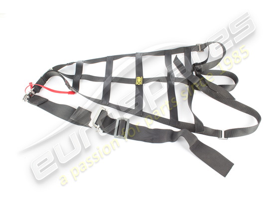 utilisé ferrari filet de protection de casque lh numéro de pièce 88923700
