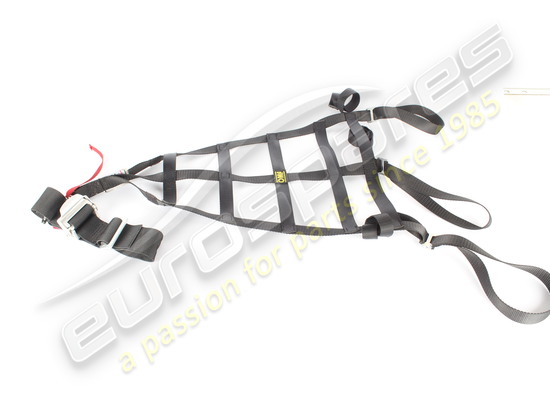 utilisé ferrari filet de protection de casque lh numéro de pièce 88923700