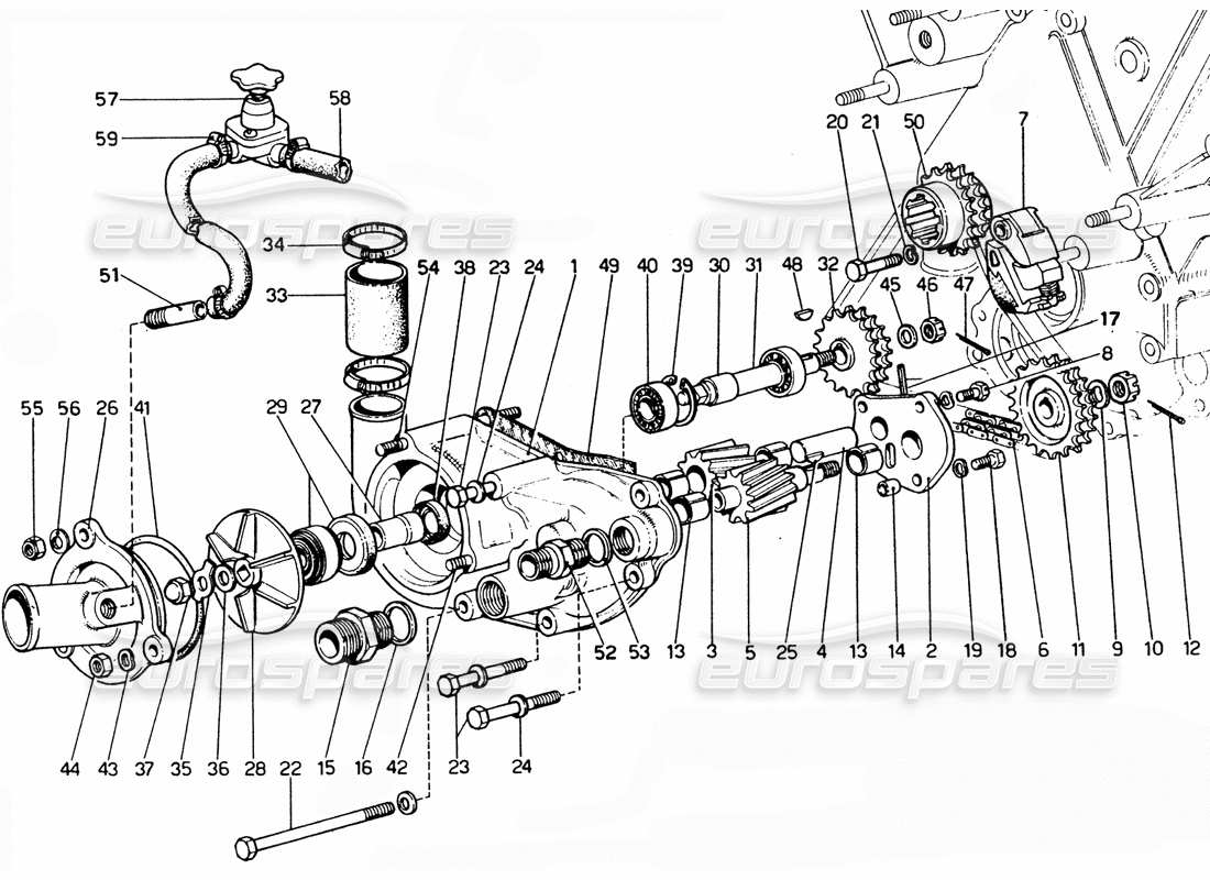 ferrari 365 gtc4 (mechanical) schéma des pièces de la pompe à eau et à huile