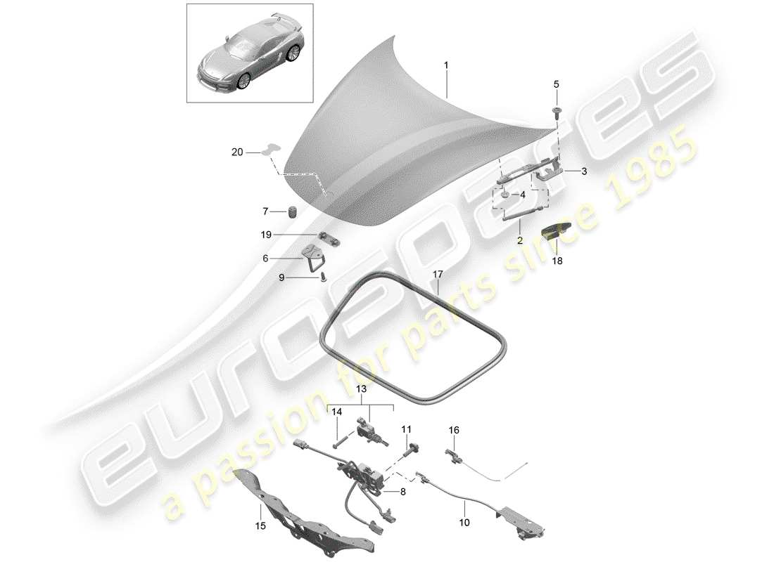 porsche 2016 (981 cayman gt4) couverture diagramme de pièce