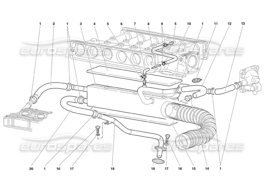lamborghini diablo sv (1998) système respiratoire d'huile moteur schéma des pièces