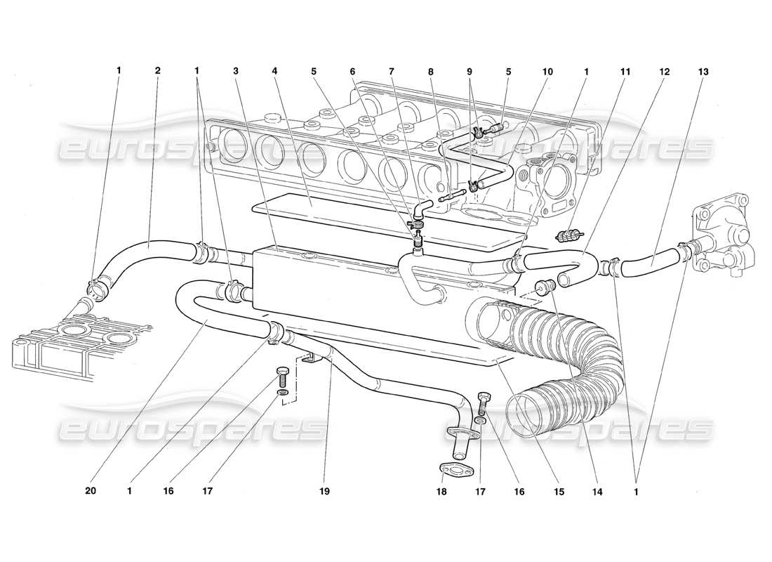 lamborghini diablo roadster (1998) système respiratoire d'huile moteur schéma des pièces