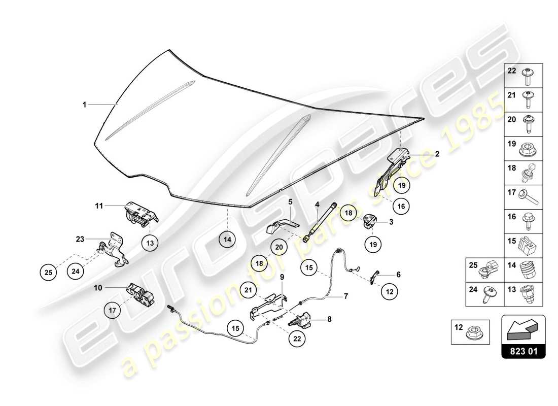 lamborghini evo spyder (2020) bonnet schéma des pièces