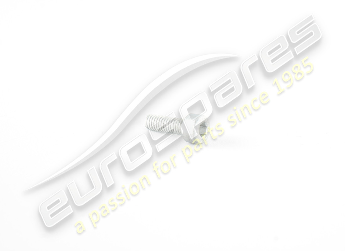 nouvelle vis ferrari. numéro de pièce 14303024 (1)