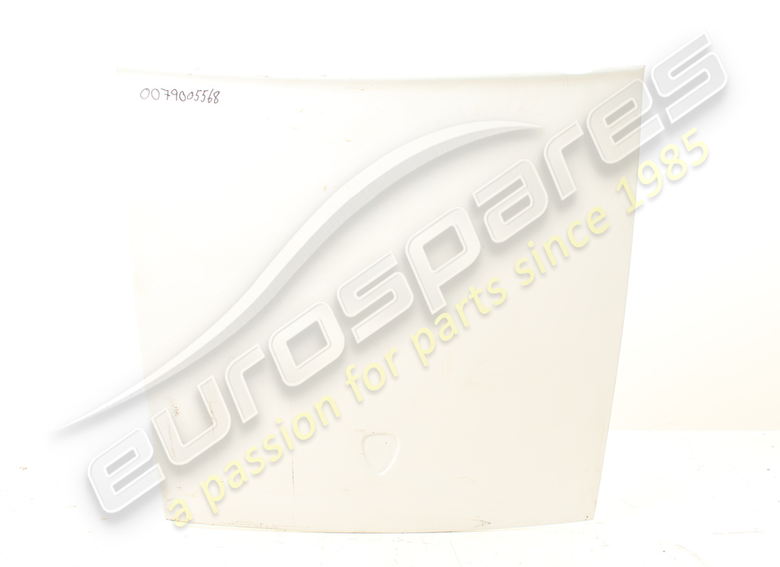 ENSEMBLE DE CAPOT AVANT Lamborghini UTILISÉ. NUMÉRO DE PIÈCE 0079005568 (1)