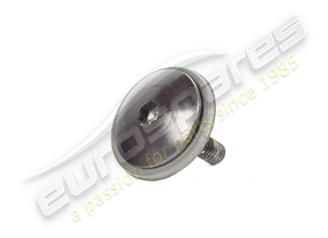 VIS Ferrari UTILISÉE. NUMÉRO DE PIÈCE 67509600 (1)