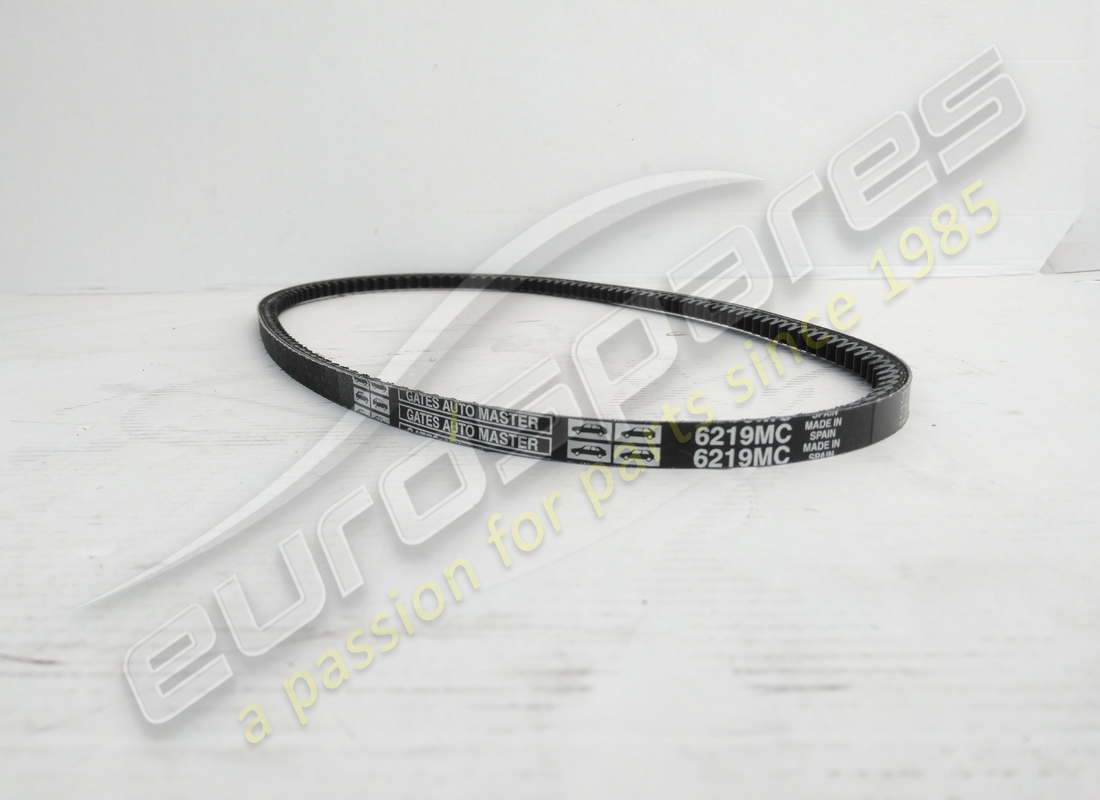 nouvelle ceinture eurospares. numéro de pièce 125557 (2)