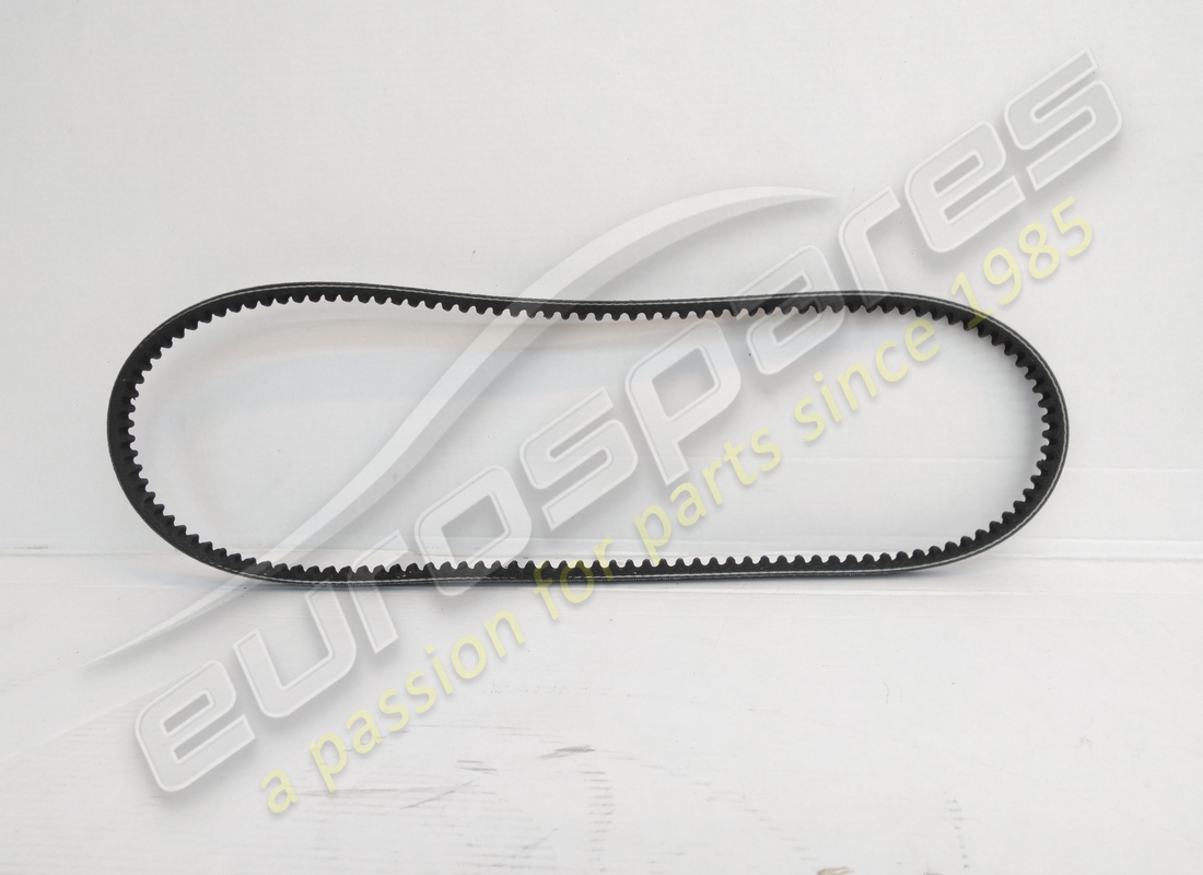 NOUVELLE CEINTURE Eurospares . NUMÉRO DE PIÈCE 125557 (1)