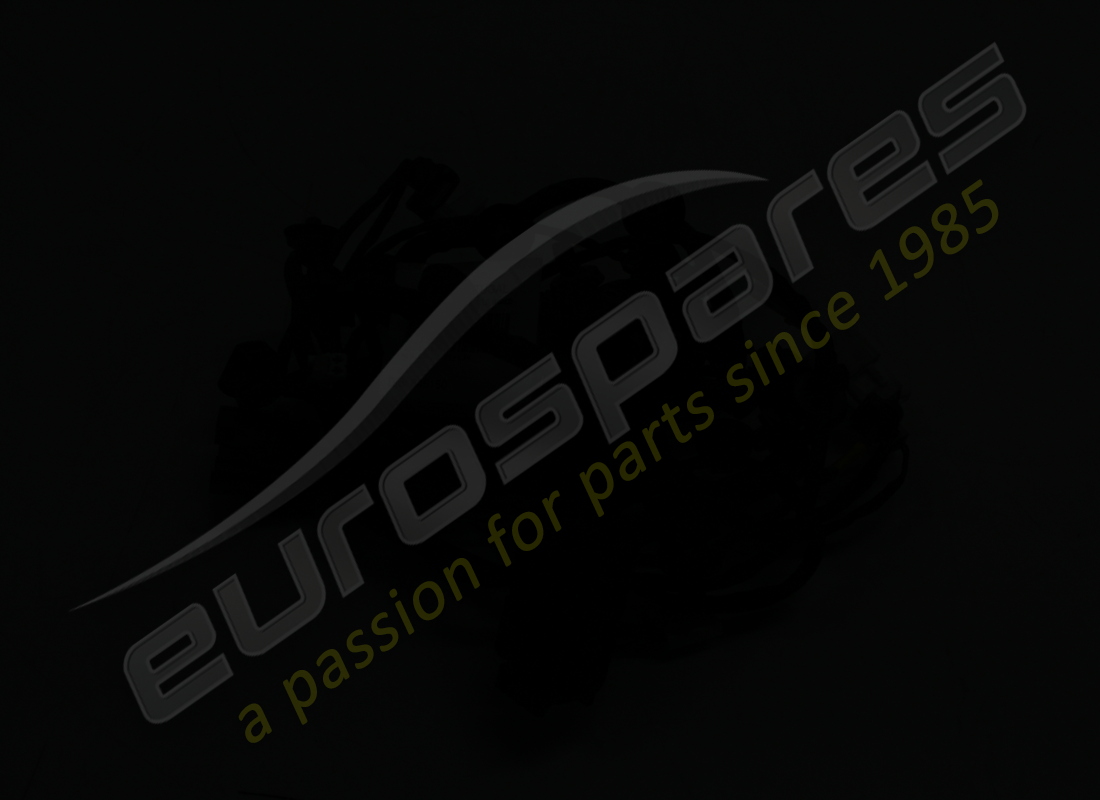 utilisé ferrari câble de porte côté passager. numéro de pièce 846150 (3)