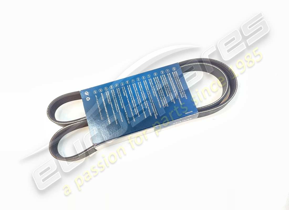 Courroie de pompe à eau et de générateur OEM neuve. Numéro de pièce : 201446 (1)