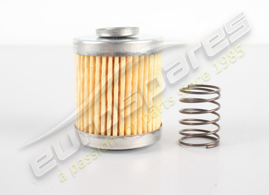 NOUVEAU Eurospares FILTRE À CARBURANT ET RESSORT (PETIT). NUMÉRO DE PIÈCE 95180053 (1)