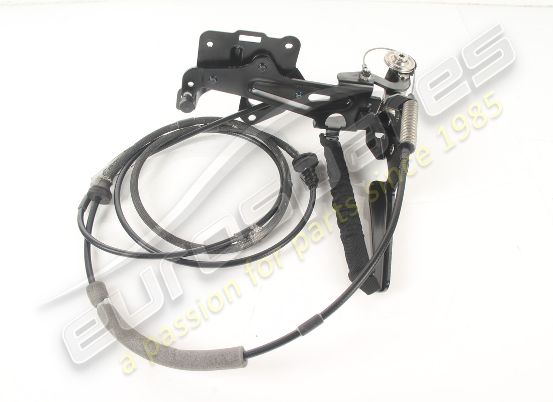 VOLET GAUCHE COMPLET D'OCCASION Ferrari. NUMÉRO DE PIÈCE 801214 (1)