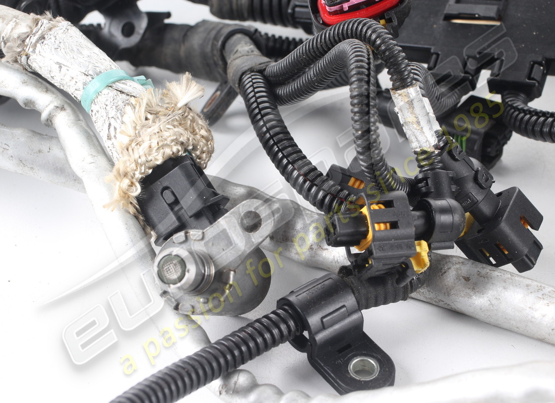 USED FERRARI INJECTION WIRING HARNESS. PART NUMBER 314807 (3) used ferrari injection wiring harness. part number 314807 (3)